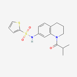 molecular formula C17H20N2O3S2 B11260399 N-(1-isobutyryl-1,2,3,4-tetrahydroquinolin-7-yl)thiophene-2-sulfonamide 