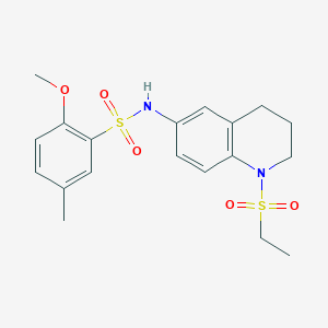 molecular formula C19H24N2O5S2 B11260400 N-(1-(ethylsulfonyl)-1,2,3,4-tetrahydroquinolin-6-yl)-2-methoxy-5-methylbenzenesulfonamide 