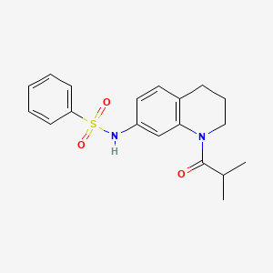 N-(1-isobutyryl-1,2,3,4-tetrahydroquinolin-7-yl)benzenesulfonamide