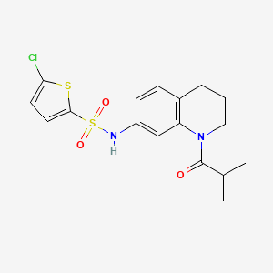 5-chloro-N-(1-isobutyryl-1,2,3,4-tetrahydroquinolin-7-yl)thiophene-2-sulfonamide