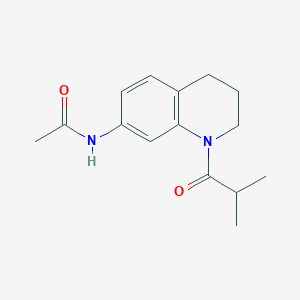 N-(1-isobutyryl-1,2,3,4-tetrahydroquinolin-7-yl)acetamide