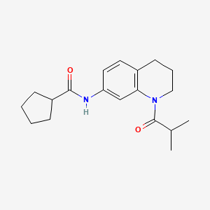 N-(1-isobutyryl-1,2,3,4-tetrahydroquinolin-7-yl)cyclopentanecarboxamide