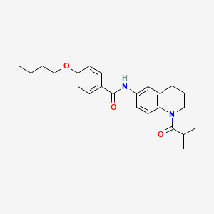 molecular formula C24H30N2O3 B11261234 4-butoxy-N-(1-isobutyryl-1,2,3,4-tetrahydroquinolin-6-yl)benzamide 