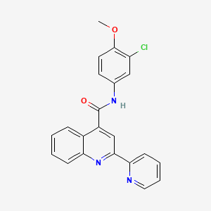 molecular formula C22H16ClN3O2 B11261446 N-(3-chloro-4-methoxyphenyl)-2-(pyridin-2-yl)quinoline-4-carboxamide 