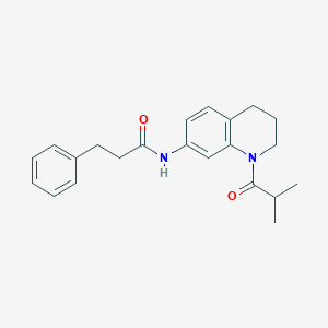 N-(1-isobutyryl-1,2,3,4-tetrahydroquinolin-7-yl)-3-phenylpropanamide