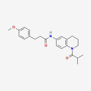 N-(1-isobutyryl-1,2,3,4-tetrahydroquinolin-6-yl)-3-(4-methoxyphenyl)propanamide