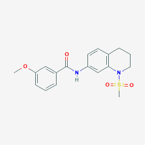 N-(1-Methanesulfonyl-1,2,3,4-tetrahydroquinolin-7-YL)-3-methoxybenzamide