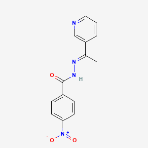 molecular formula C14H12N4O3 B11265745 4-nitro-N'-[(1E)-1-(pyridin-3-yl)ethylidene]benzohydrazide 