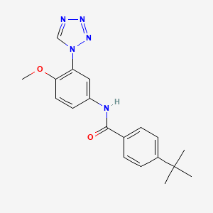 4-tert-butyl-N-[4-methoxy-3-(1H-tetrazol-1-yl)phenyl]benzamide