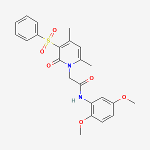 molecular formula C23H24N2O6S B11273173 N-(2,5-dimethoxyphenyl)-2-[4,6-dimethyl-2-oxo-3-(phenylsulfonyl)pyridin-1(2H)-yl]acetamide 