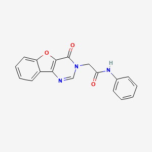 2-(4-oxobenzofuro[3,2-d]pyrimidin-3(4H)-yl)-N-phenylacetamide