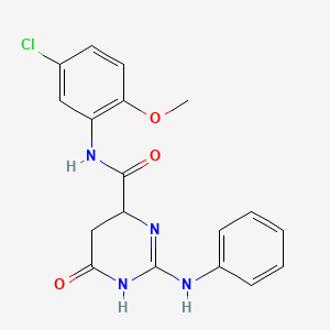 N-(5-chloro-2-methoxyphenyl)-6-oxo-2-(phenylamino)-3,4,5,6-tetrahydropyrimidine-4-carboxamide