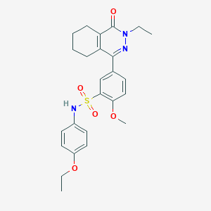 N-(4-ethoxyphenyl)-5-(3-ethyl-4-oxo-3,4,5,6,7,8-hexahydrophthalazin-1-yl)-2-methoxybenzenesulfonamide