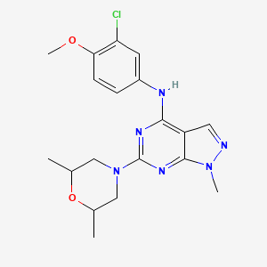 molecular formula C19H23ClN6O2 B11301572 N-(3-chloro-4-methoxyphenyl)-6-(2,6-dimethylmorpholin-4-yl)-1-methyl-1H-pyrazolo[3,4-d]pyrimidin-4-amine 