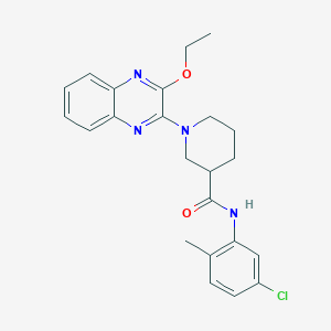 N-(5-chloro-2-methylphenyl)-1-(3-ethoxyquinoxalin-2-yl)piperidine-3-carboxamide