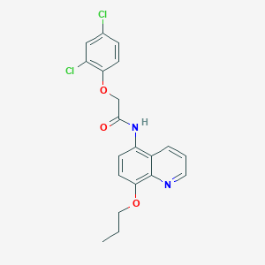 2-(2,4-dichlorophenoxy)-N-(8-propoxyquinolin-5-yl)acetamide