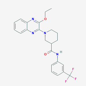 1-(3-ethoxyquinoxalin-2-yl)-N-[3-(trifluoromethyl)phenyl]piperidine-3-carboxamide