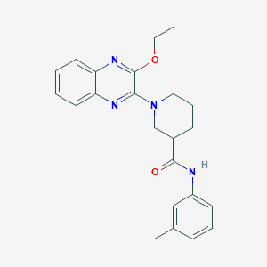 1-(3-ethoxyquinoxalin-2-yl)-N-(3-methylphenyl)piperidine-3-carboxamide