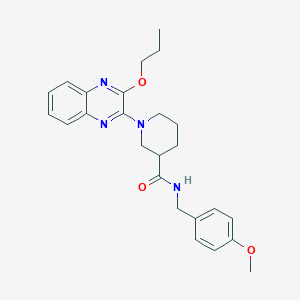 N-(4-methoxybenzyl)-1-(3-propoxyquinoxalin-2-yl)piperidine-3-carboxamide