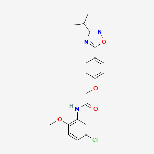 N-(5-chloro-2-methoxyphenyl)-2-{4-[3-(propan-2-yl)-1,2,4-oxadiazol-5-yl]phenoxy}acetamide