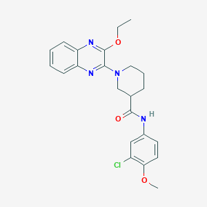 N-(3-chloro-4-methoxyphenyl)-1-(3-ethoxyquinoxalin-2-yl)piperidine-3-carboxamide