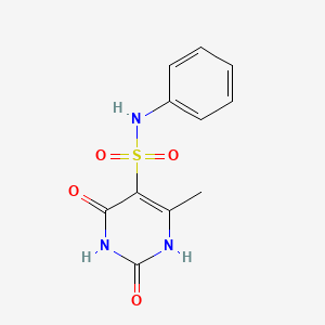 6-methyl-2,4-dioxo-N-phenyl-1,2,3,4-tetrahydropyrimidine-5-sulfonamide