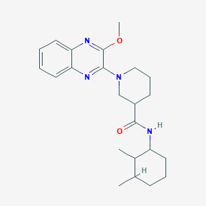 N-(2,3-dimethylcyclohexyl)-1-(3-methoxyquinoxalin-2-yl)piperidine-3-carboxamide