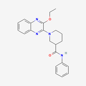 1-(3-ethoxyquinoxalin-2-yl)-N-phenylpiperidine-3-carboxamide