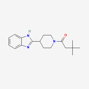 molecular formula C18H25N3O B11309108 1-[4-(1H-benzimidazol-2-yl)piperidin-1-yl]-3,3-dimethylbutan-1-one 