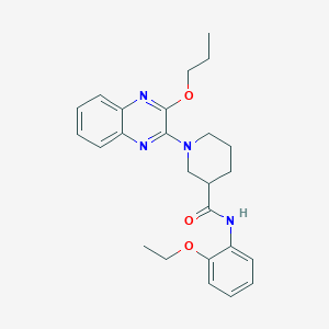 N-(2-ethoxyphenyl)-1-(3-propoxyquinoxalin-2-yl)piperidine-3-carboxamide