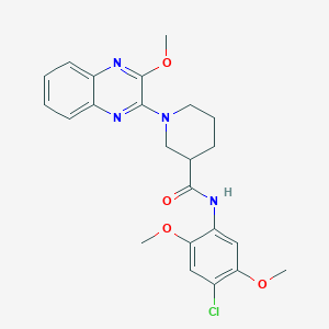 N-(4-chloro-2,5-dimethoxyphenyl)-1-(3-methoxyquinoxalin-2-yl)piperidine-3-carboxamide