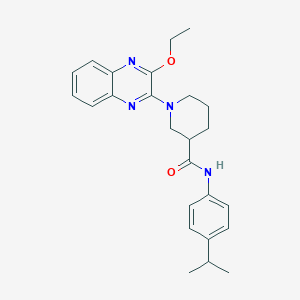 1-(3-ethoxyquinoxalin-2-yl)-N-[4-(propan-2-yl)phenyl]piperidine-3-carboxamide