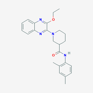 N-(2,4-dimethylphenyl)-1-(3-ethoxyquinoxalin-2-yl)piperidine-3-carboxamide