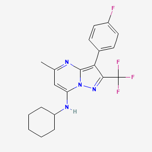 molecular formula C20H20F4N4 B11317948 N-cyclohexyl-3-(4-fluorophenyl)-5-methyl-2-(trifluoromethyl)pyrazolo[1,5-a]pyrimidin-7-amine 