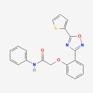 N-phenyl-2-{2-[5-(thiophen-2-yl)-1,2,4-oxadiazol-3-yl]phenoxy}acetamide