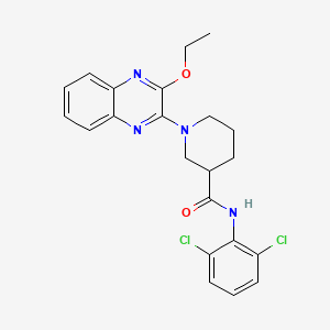 N-(2,6-dichlorophenyl)-1-(3-ethoxyquinoxalin-2-yl)piperidine-3-carboxamide