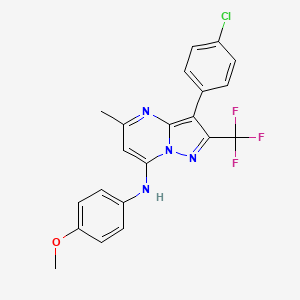 molecular formula C21H16ClF3N4O B11323115 3-(4-chlorophenyl)-N-(4-methoxyphenyl)-5-methyl-2-(trifluoromethyl)pyrazolo[1,5-a]pyrimidin-7-amine 