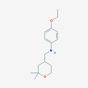 N-[(2,2-dimethyloxan-4-yl)methyl]-4-ethoxyaniline