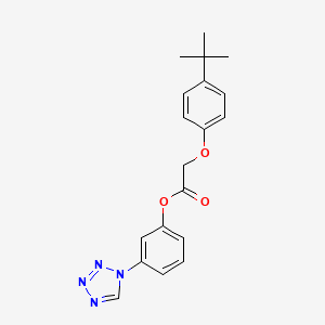 molecular formula C19H20N4O3 B11325503 3-(1H-tetrazol-1-yl)phenyl (4-tert-butylphenoxy)acetate 