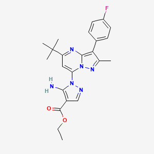 molecular formula C23H25FN6O2 B11328140 ethyl 5-amino-1-[5-tert-butyl-3-(4-fluorophenyl)-2-methylpyrazolo[1,5-a]pyrimidin-7-yl]-1H-pyrazole-4-carboxylate 