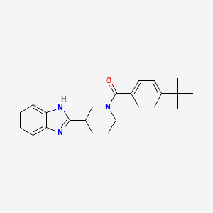 molecular formula C23H27N3O B11331083 [3-(1H-benzimidazol-2-yl)piperidin-1-yl](4-tert-butylphenyl)methanone 