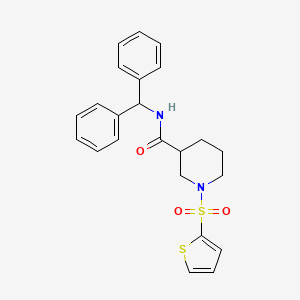 N-(diphenylmethyl)-1-(thiophen-2-ylsulfonyl)piperidine-3-carboxamide