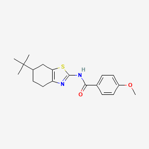 molecular formula C19H24N2O2S B11336102 N-(6-tert-butyl-4,5,6,7-tetrahydro-1,3-benzothiazol-2-yl)-4-methoxybenzamide 