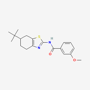 N-(6-tert-butyl-4,5,6,7-tetrahydro-1,3-benzothiazol-2-yl)-3-methoxybenzamide