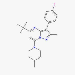 molecular formula C23H29FN4 B11337712 5-Tert-butyl-3-(4-fluorophenyl)-2-methyl-7-(4-methylpiperidin-1-yl)pyrazolo[1,5-a]pyrimidine 