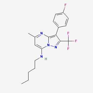 molecular formula C19H20F4N4 B11338783 3-(4-fluorophenyl)-5-methyl-N-pentyl-2-(trifluoromethyl)pyrazolo[1,5-a]pyrimidin-7-amine 