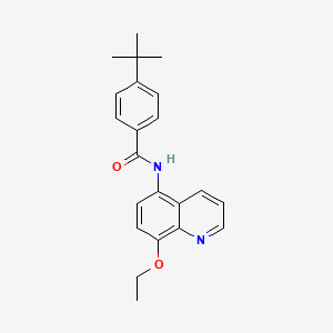 4-tert-butyl-N-(8-ethoxyquinolin-5-yl)benzamide