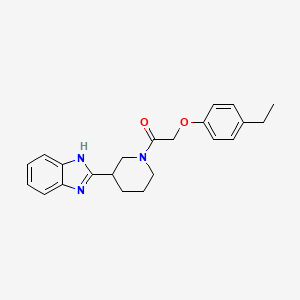 1-[3-(1H-benzimidazol-2-yl)piperidin-1-yl]-2-(4-ethylphenoxy)ethanone