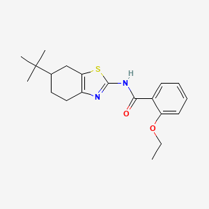 N-(6-tert-butyl-4,5,6,7-tetrahydro-1,3-benzothiazol-2-yl)-2-ethoxybenzamide