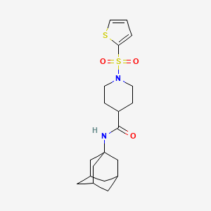 molecular formula C20H28N2O3S2 B11341681 N-(adamantan-1-yl)-1-(thiophene-2-sulfonyl)piperidine-4-carboxamide 